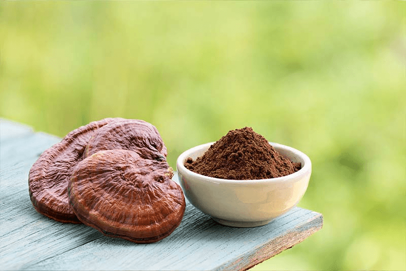 Why Botanical Products Are Becoming Essential in Global Markets