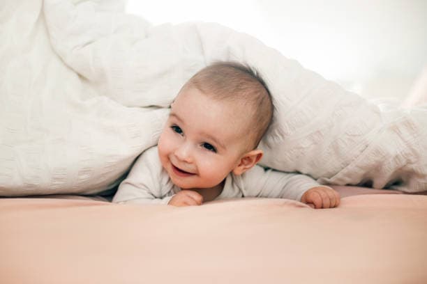 Organic Baby Food Meals and Snacks for Busy Families