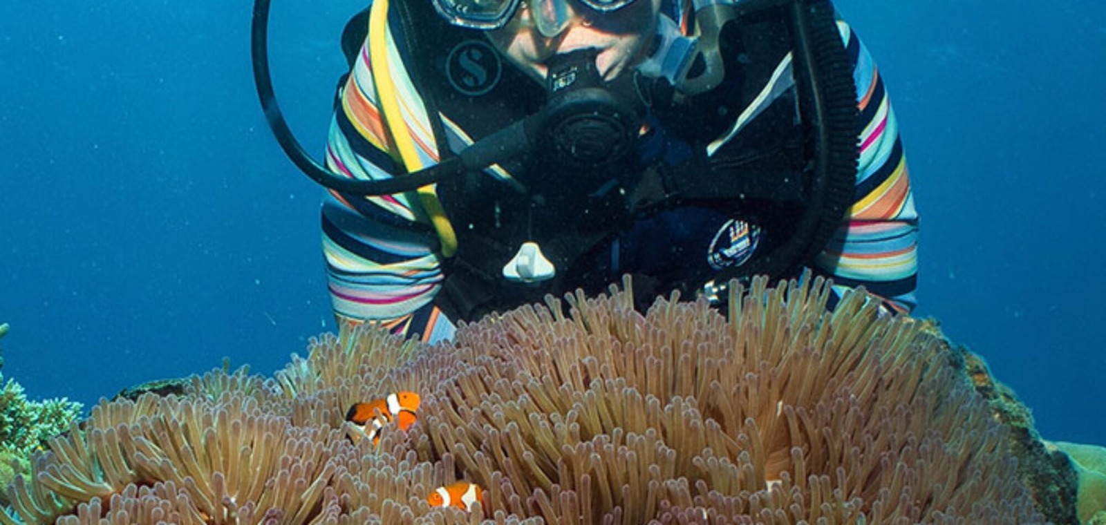 Small Group Scuba Diving Northern Ireland Trips