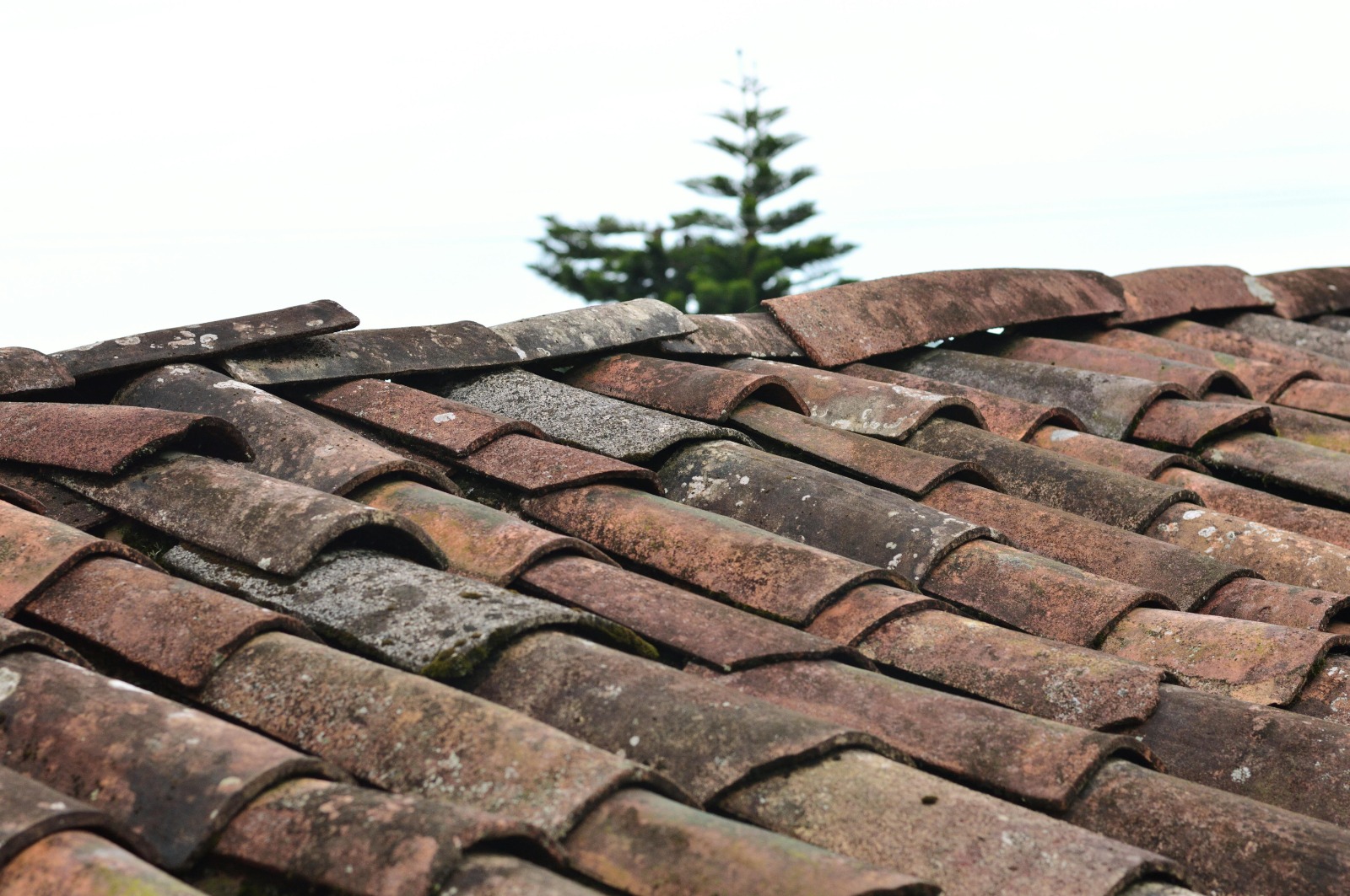 Residential and Commercial Roofing in Covington, LA Made Easy