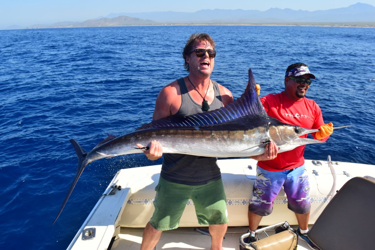 All-Inclusive Resorts Cabo – Top Rated Options from Cabo Verified