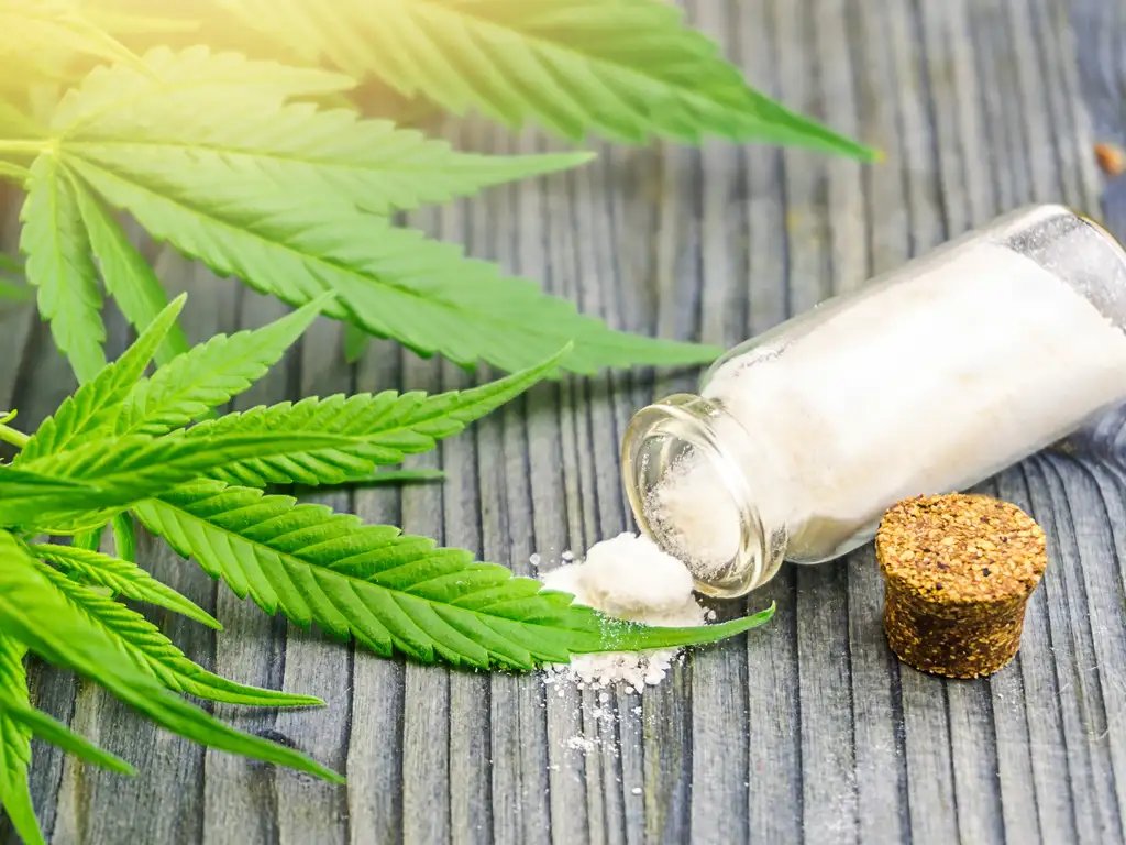 24 Hour Smoke Shop Near Me Miami – Miami Rave Is Always Open for Your Needs