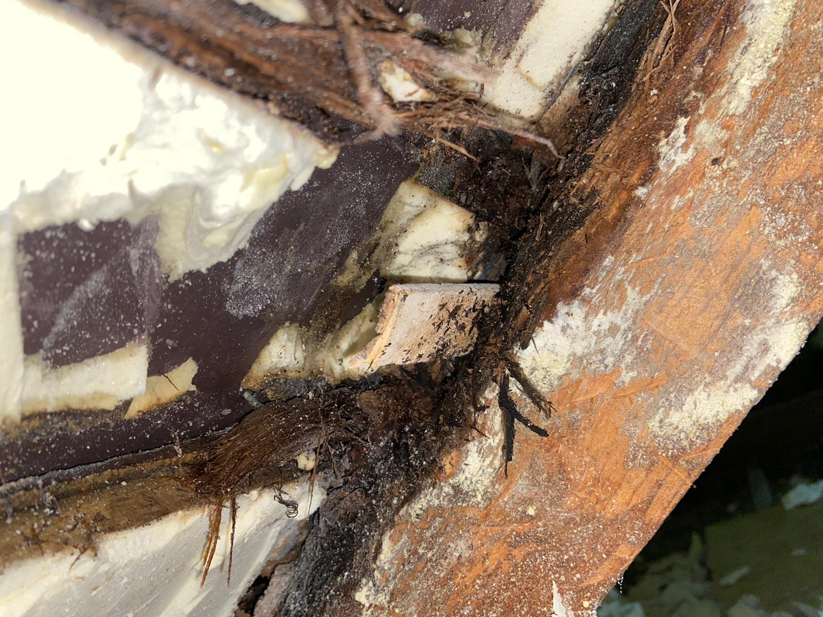 Complete Spray Foam Removal Guidance for Roof Insulation Issues