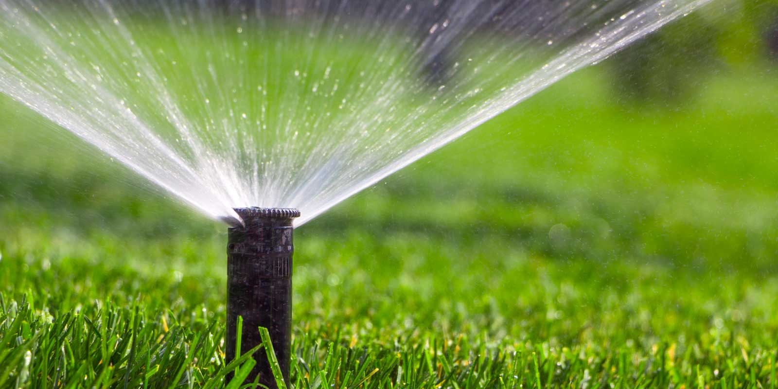 Expert Drainage Services in Azle , TX for Effective Water Management