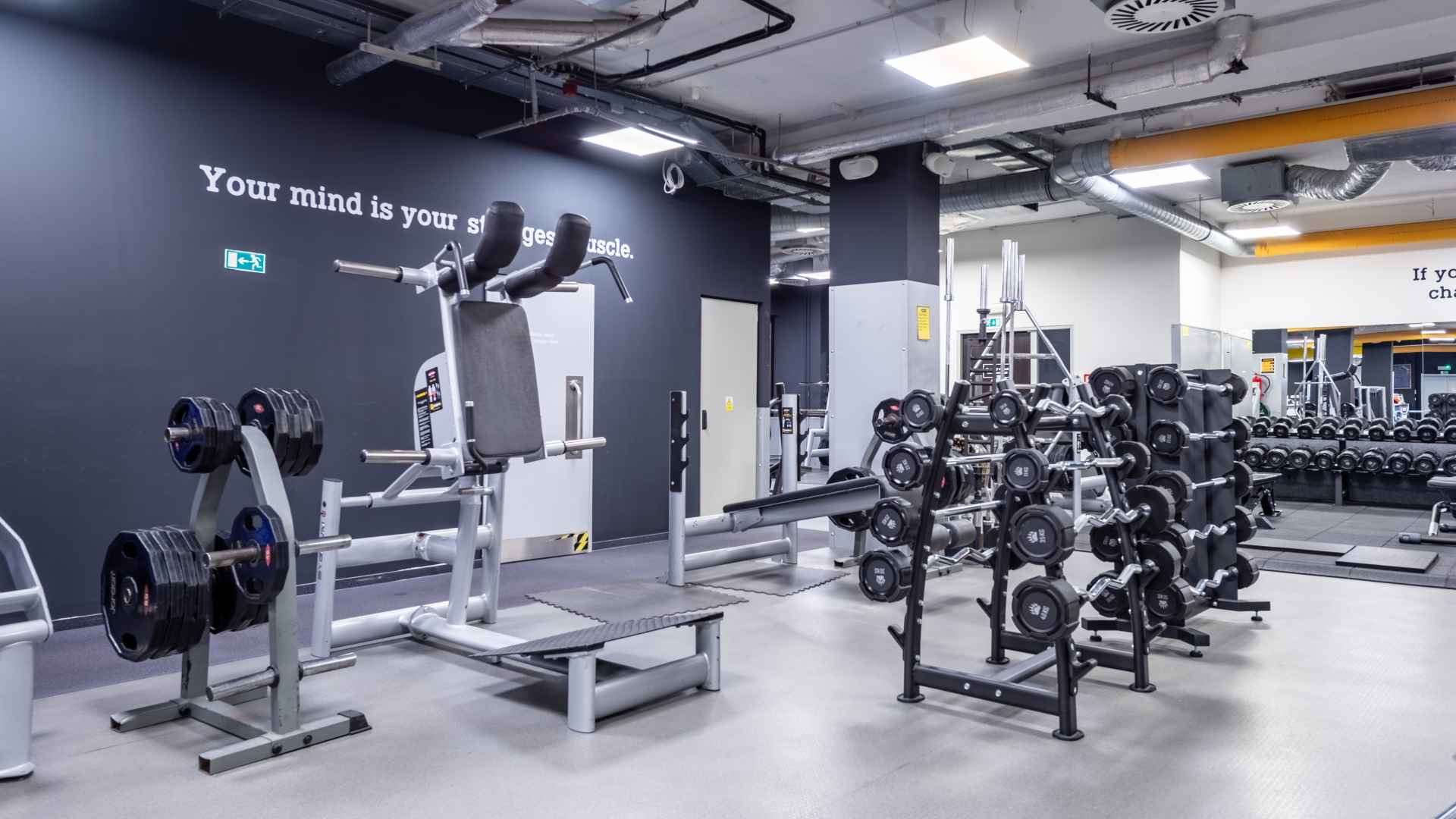 Premium Quality Strength Equipment | YINUO SPORT