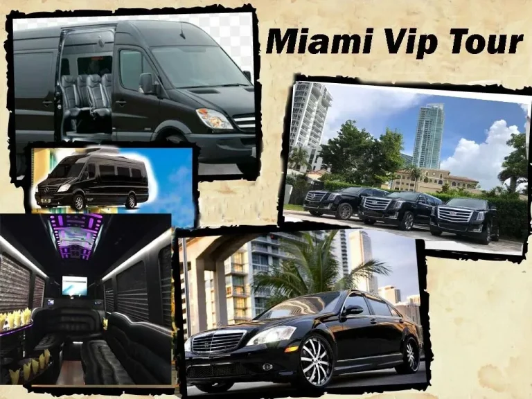 miami tour_Miami_city_tour_Everglades tour_key
